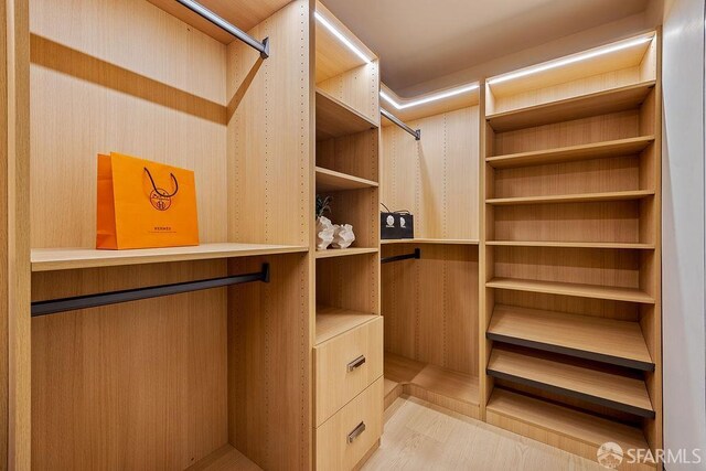 1098 Siler Pl, Berkeley, CA 94705 - view of spacious closet