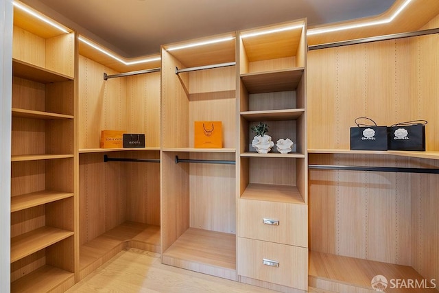 1098 Siler Pl, Berkeley, CA 94705 - view of spacious closet