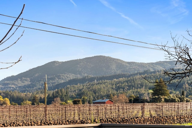 1316 Sulphur Springs Ave, Saint Helena, CA 94574 - property view of mountains featuring a forest view