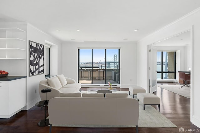 living room featuring ornamental molding and dark wood-type flooring