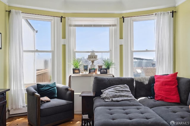 living room with hardwood / wood-style flooring, crown molding, and a wealth of natural light