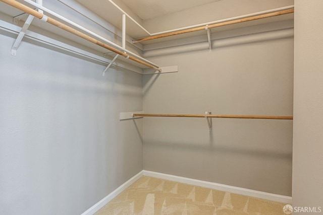 3587 Fitzsimmons Cmn, Fremont, CA 94538 - spacious closet with carpet floors