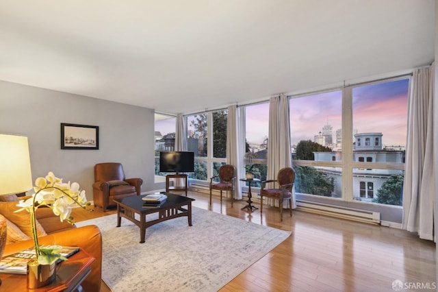 living room featuring wood-type flooring and expansive windows