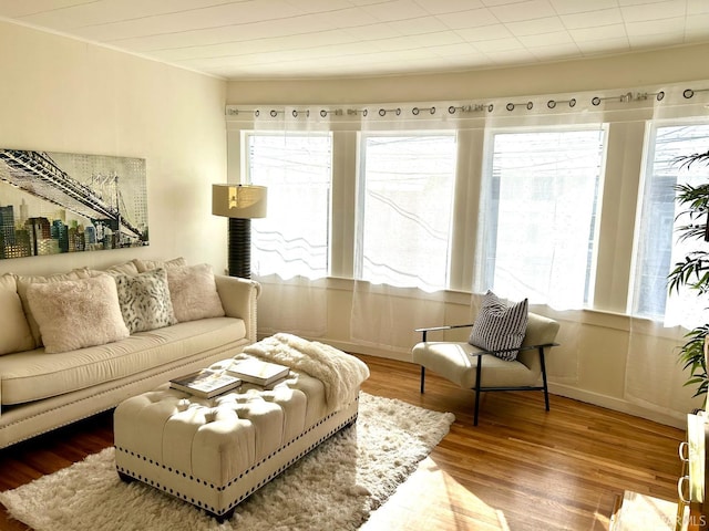 living room featuring baseboards and wood finished floors