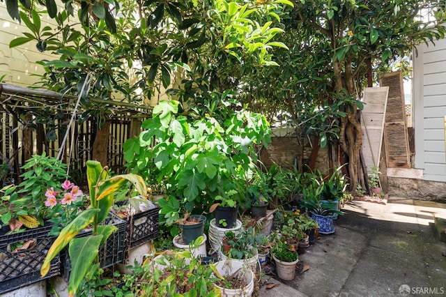 87 Whittier St, San Francisco, CA 94112 - photo 26