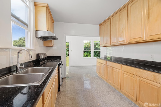 87 Whittier St, San Francisco, CA 94112 - photo 18