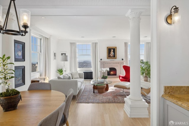 living room with plenty of natural light, radiator, and decorative columns