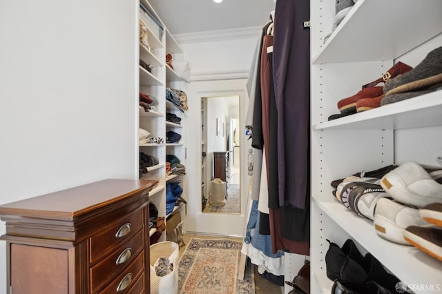 view of walk in closet