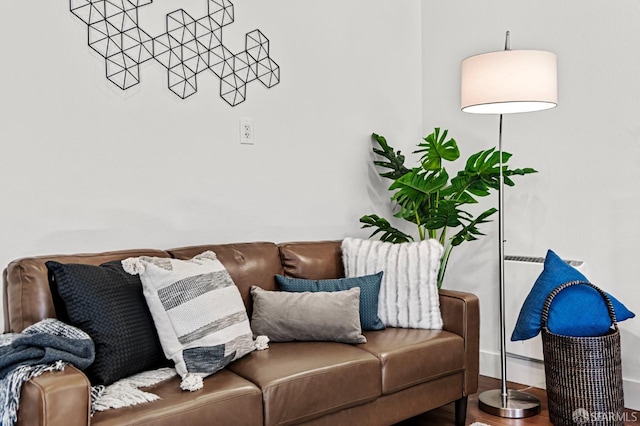 living room with wood-type flooring