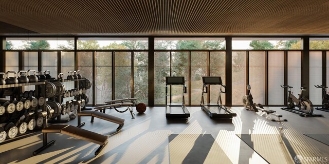 workout area featuring plenty of natural light and expansive windows