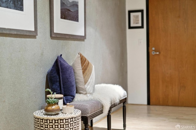 mudroom featuring wood finished floors