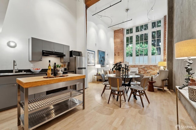 kitchen with light wood finished floors, a high ceiling, appliances with stainless steel finishes, a sink, and under cabinet range hood