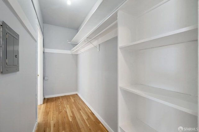 walk in closet featuring electric panel and hardwood / wood-style floors