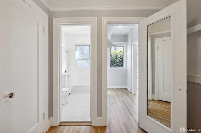 hall with ornamental molding and light hardwood / wood-style floors