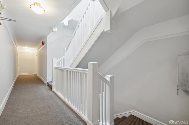 hallway with lofted ceiling and carpet flooring