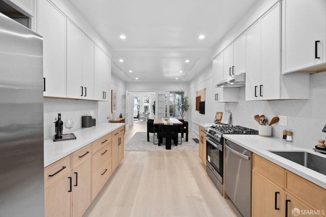 kitchen featuring appliances with stainless steel finishes, light wood-style floors, a sink, recessed lighting, and light countertops