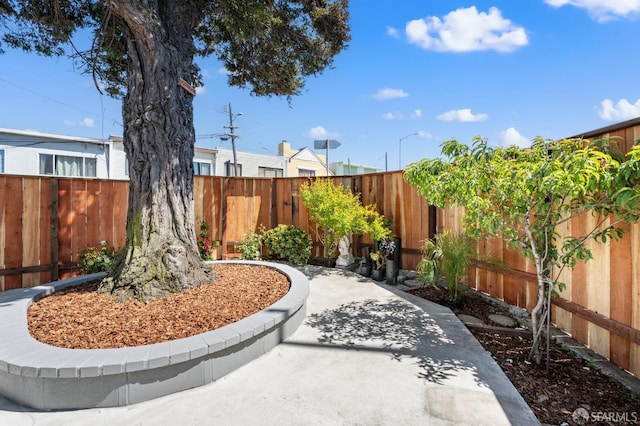 74 Crane St, San Francisco, CA 94124 - fenced backyard featuring a patio