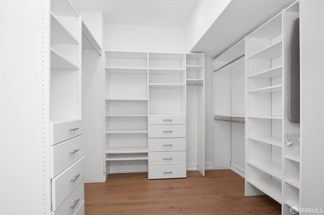 spacious closet with wood-type flooring