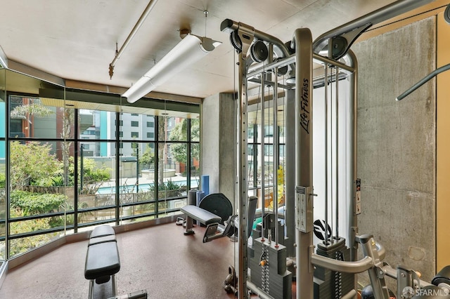 workout area featuring a wealth of natural light