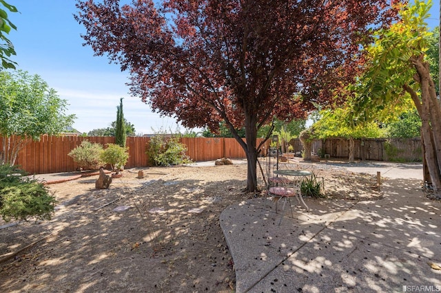 view of yard featuring a patio area