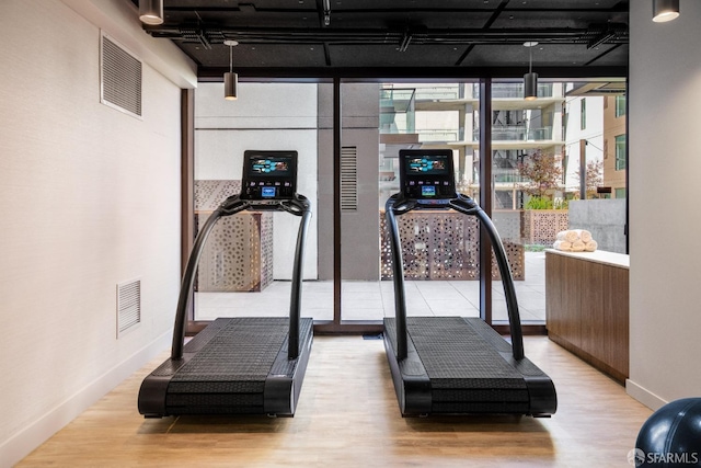 exercise area with a healthy amount of sunlight, a wall of windows, and light hardwood / wood-style flooring