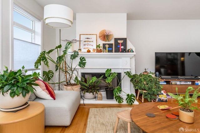 living room featuring light wood-type flooring