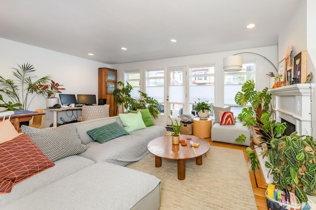 living room featuring light hardwood / wood-style floors