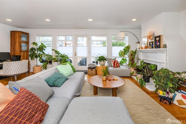 living room with wood-type flooring