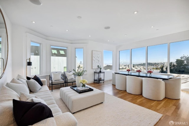 living room with light hardwood / wood-style floors