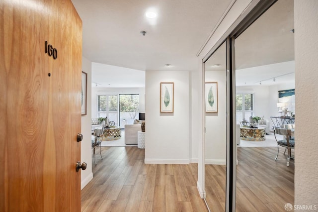 hallway with rail lighting and light hardwood / wood-style floors