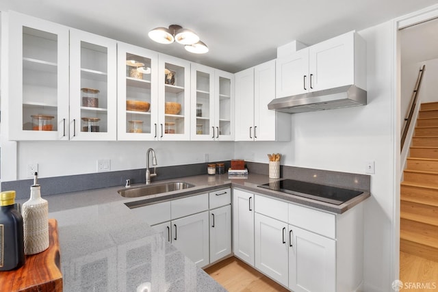 kitchen with under cabinet range hood, a sink, black electric cooktop, light stone countertops, and white cabinetry