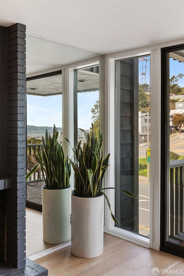 doorway with expansive windows and light wood finished floors