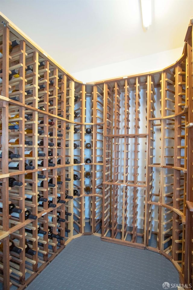 wine room featuring carpet floors