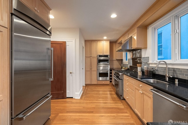 kitchen featuring light wood finished floors, tasteful backsplash, under cabinet range hood, high end appliances, and a sink