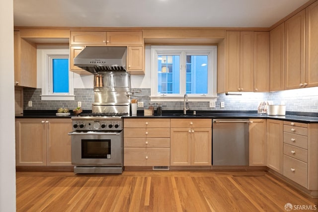 kitchen featuring a sink, range hood, light wood-style flooring, and stainless steel appliances