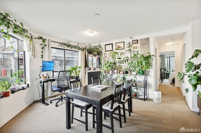 dining area featuring light carpet