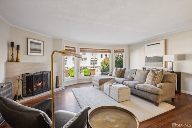 living room featuring crown molding and dark wood-type flooring