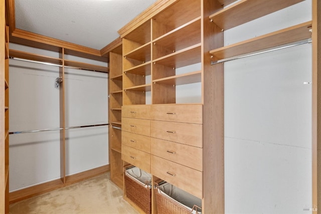 walk in closet featuring light colored carpet