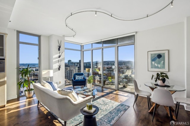 living room featuring a wealth of natural light, a wall of windows, and dark hardwood / wood-style floors