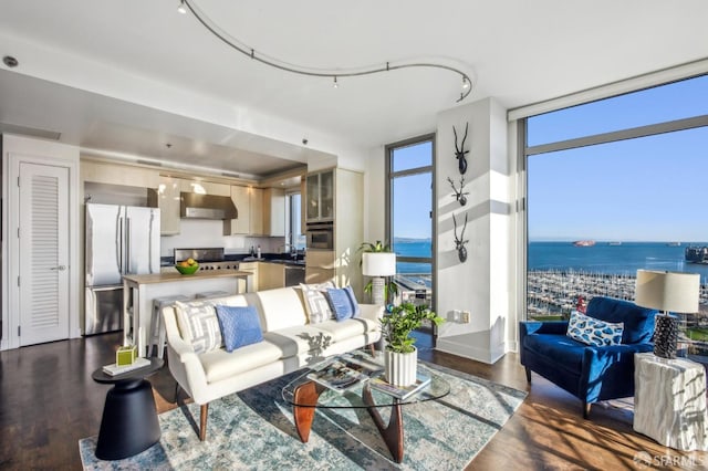 living room with sink, dark wood-type flooring, floor to ceiling windows, and a water view