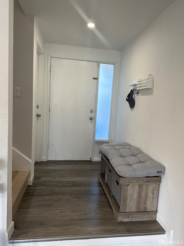 entryway with dark hardwood / wood-style floors