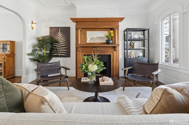 5 College Ter, San Francisco, CA 94112 - living room with arched walkways, wood finished floors, ornamental molding, baseboards, and a fireplace
