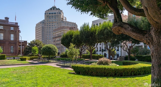 1155 Leavenworth St Unit 7, San Francisco, CA 94109 - view of community with a yard