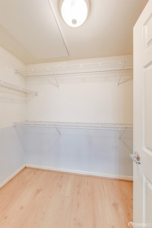 spacious closet featuring hardwood / wood-style floors