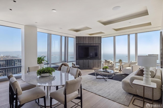 living room featuring a large fireplace, light hardwood / wood-style floors, and expansive windows