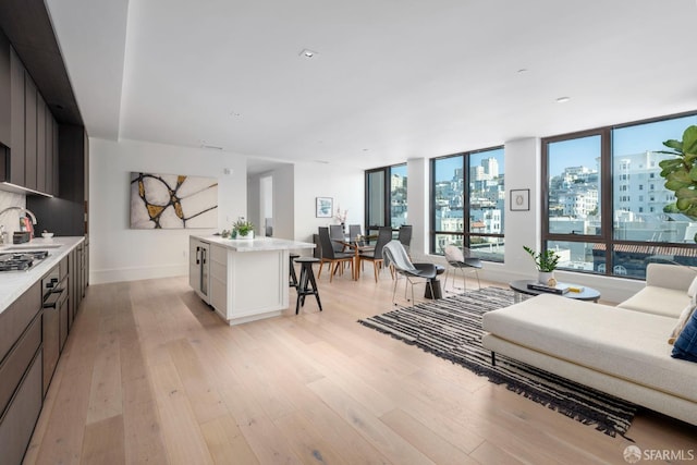 living area with a view of city, a wall of windows, baseboards, and light wood-style floors