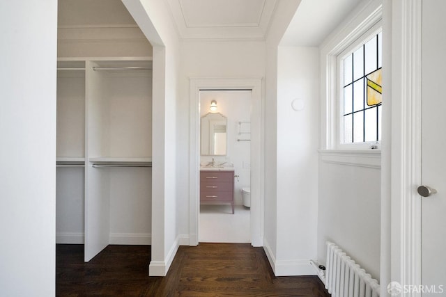 interior space with sink, dark wood-type flooring, and radiator