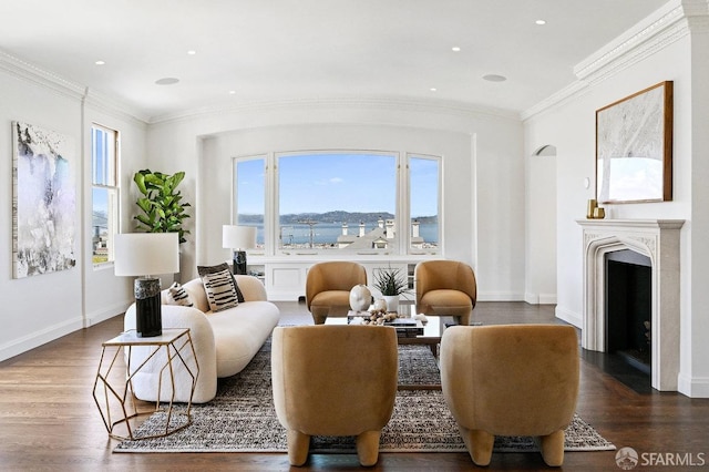 2500 Steiner St Unit 3, San Francisco, CA 94115 - living room with plenty of natural light, a fireplace, ornamental molding, wood finished floors, and recessed lighting