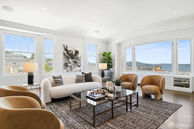 2500 Steiner St Unit 3, San Francisco, CA 94115 - living room featuring plenty of natural light, crown molding, wood finished floors, and recessed lighting