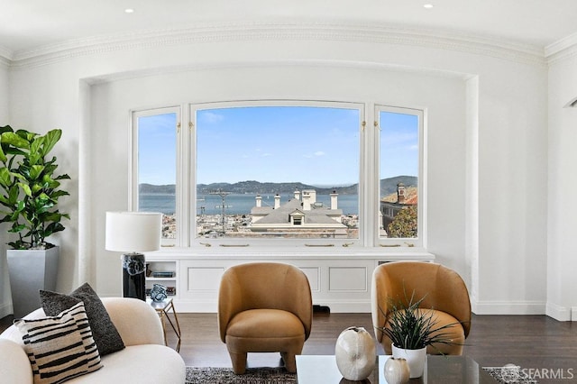 2500 Steiner St Unit 3, San Francisco, CA 94115 - sitting room featuring dark wood-style floors, crown molding, and a water view